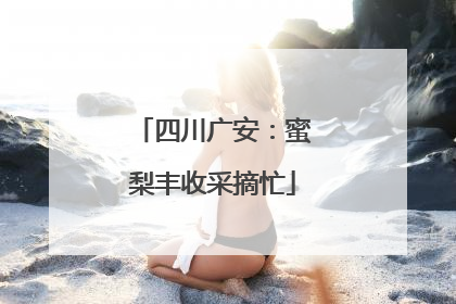 四川广安：蜜梨丰收采摘忙