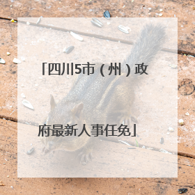 四川5市（州）政府最新人事任免