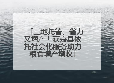 土地托管、省力又增产！获嘉县依托社会化服务助力粮食增产增收