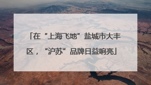 在“上海飞地”盐城市大丰区，“沪苏”品牌日益响亮