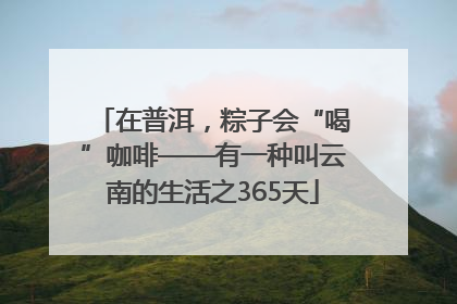 在普洱，粽子会“喝”咖啡——有一种叫云南的生活之365天