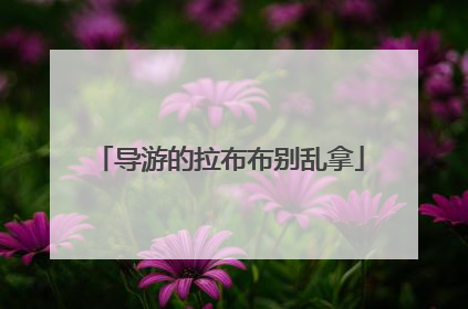 导游的拉布布别乱拿