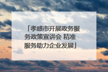 孝感市开展政务服务政策宣讲会 精准服务助力企业发展
