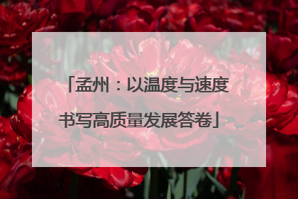 孟州：以温度与速度书写高质量发展答卷