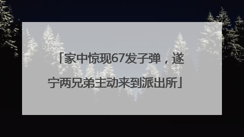 家中惊现67发子弹，遂宁两兄弟主动来到派出所