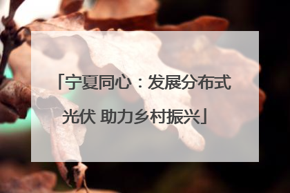 宁夏同心：发展分布式光伏 助力乡村振兴
