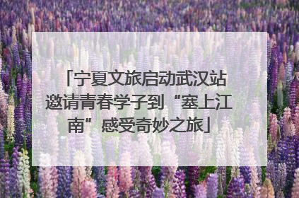 宁夏文旅启动武汉站 邀请青春学子到“塞上江南”感受奇妙之旅