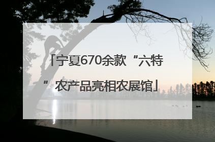 宁夏670余款“六特”农产品亮相农展馆