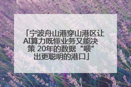 宁波舟山港穿山港区让AI算力既懂业务又能决策 20年的数据“喂”出更聪明的港口
