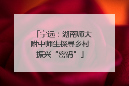 宁远：湖南师大附中师生探寻乡村振兴“密码”