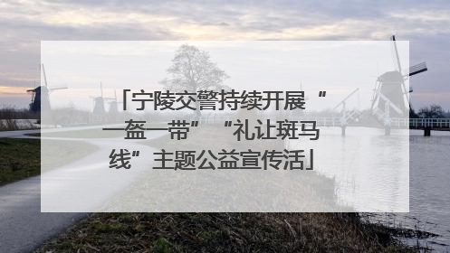 宁陵交警持续开展“一盔一带”“礼让斑马线”主题公益宣传活