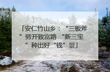 安仁竹山乡：“三板斧”劈开致富路 “新三宝”种出好“钱”景