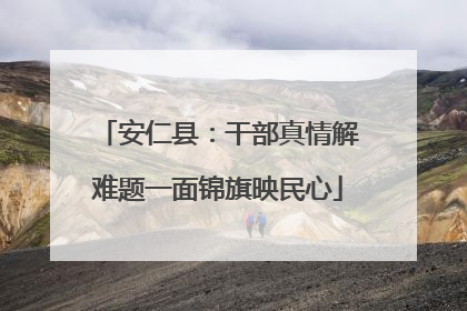安仁县：干部真情解难题一面锦旗映民心