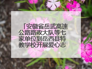安徽省岳武高速公路路政大队等七家单位到岳西县特教学校开展爱心志愿活动