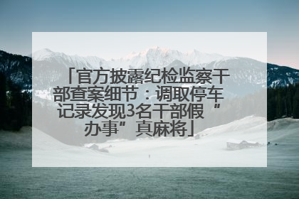 官方披露纪检监察干部查案细节：调取停车记录发现3名干部假“办事”真麻将