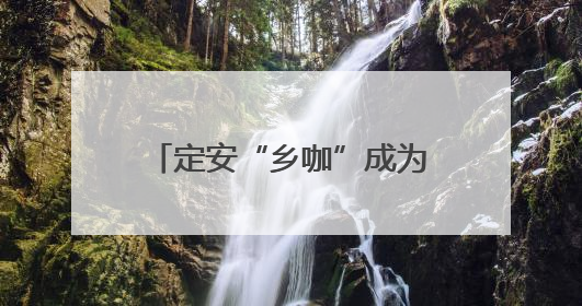 定安“乡咖”成为特色文明实践地