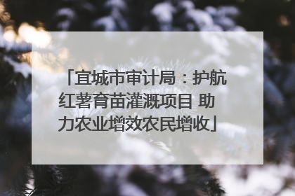 宜城市审计局：护航红薯育苗灌溉项目 助力农业增效农民增收