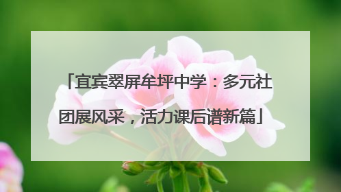 宜宾翠屏牟坪中学：多元社团展风采，活力课后谱新篇