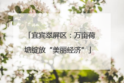宜宾翠屏区：万亩荷塘绽放“美丽经济”