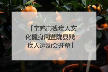 宝鸡市残疾人文化健身周暨陇县残疾人运动会开幕