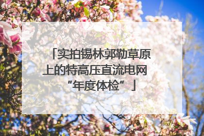 实拍锡林郭勒草原上的特高压直流电网“年度体检”