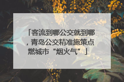 客流到哪公交就到哪，青岛公交精准施策点燃城市“烟火气”