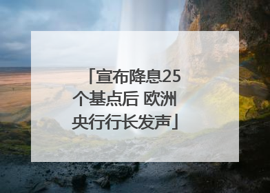 宣布降息25个基点后 欧洲央行行长发声