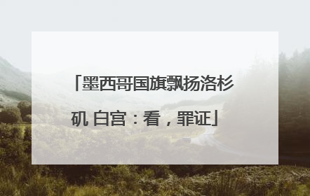 墨西哥国旗飘扬洛杉矶 白宫：看，罪证