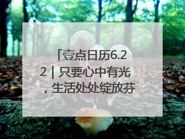壹点日历6.22｜只要心中有光，生活处处绽放芬芳！周末愉快
