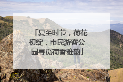 夏至时节，荷花初绽，市民游客公园寻觅荷香雅韵