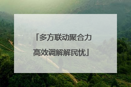 多方联动聚合力 高效调解解民忧