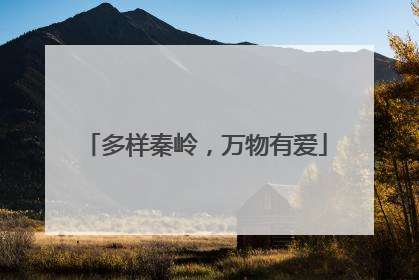 多样秦岭，万物有爱