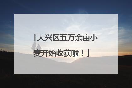 大兴区五万余亩小麦开始收获啦！