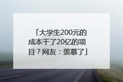 大学生200元的成本干了20亿的项目？网友：羡慕了