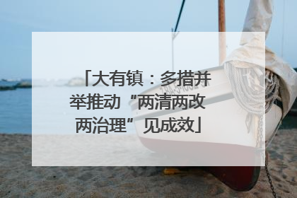 大有镇：多措并举推动“两清两改两治理”见成效