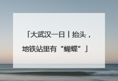 大武汉一日丨抬头，地铁站里有“蝴蝶”