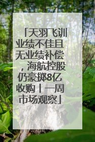 天羽飞训业绩不佳且无业绩补偿，海航控股仍豪掷8亿收购丨一周市场观察