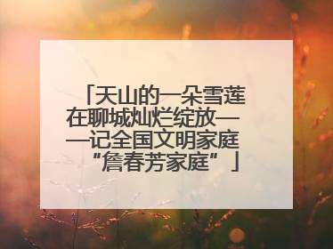天山的一朵雪莲在聊城灿烂绽放——记全国文明家庭“詹春芳家庭”