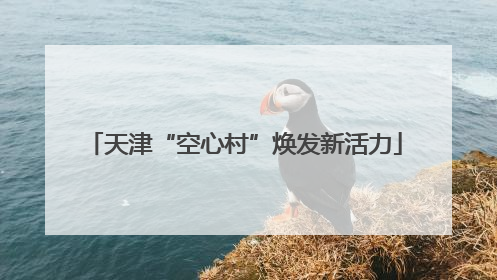 天津“空心村”焕发新活力