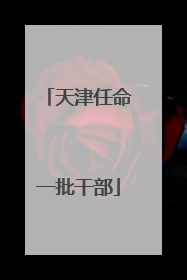 天津任命一批干部