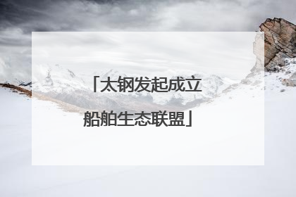 太钢发起成立船舶生态联盟