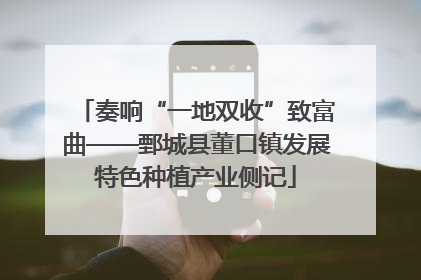 奏响“一地双收”致富曲——鄄城县董口镇发展特色种植产业侧记