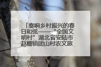 奏响乡村振兴的春日和弦——“全国文明村”湖北省安陆市赵棚镇团山村农文旅融合发展见闻