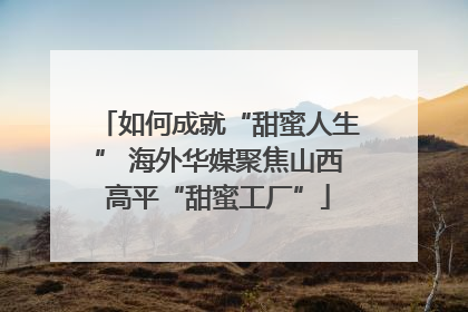 如何成就“甜蜜人生” 海外华媒聚焦山西高平“甜蜜工厂”