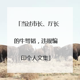 当过市长、厅长的牛弩韬，违规编印个人文集