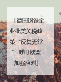 德国钢铁企业批美关税政策“反复无常” 呼吁欧盟加强应对
