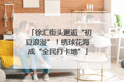 徐汇街头邂逅“初夏浪漫”！绣球花海成“全民打卡地”