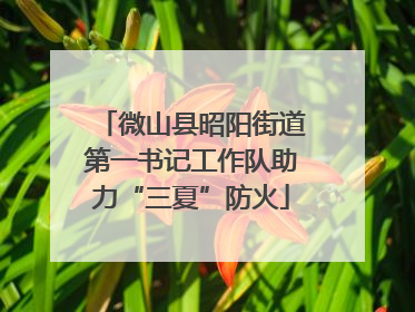 微山县昭阳街道第一书记工作队助力“三夏”防火