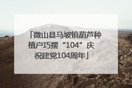 微山县马坡镇葫芦种植户巧摆“104”庆祝建党104周年