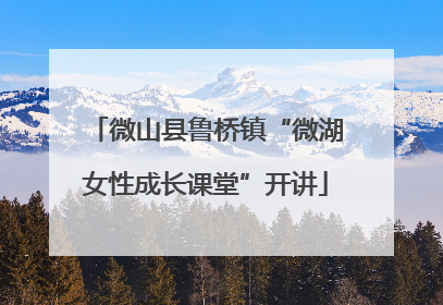 微山县鲁桥镇“微湖女性成长课堂”开讲